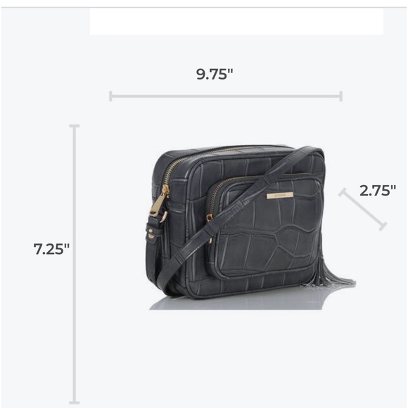 Brahmin shea Nocturnal Lysander - Picture 5 of 8